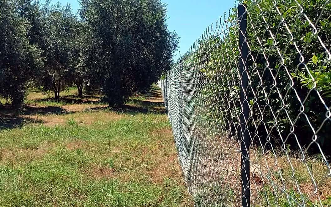 Mersin'de tel örgü çit montajı — zeytin bahçesi çevresi